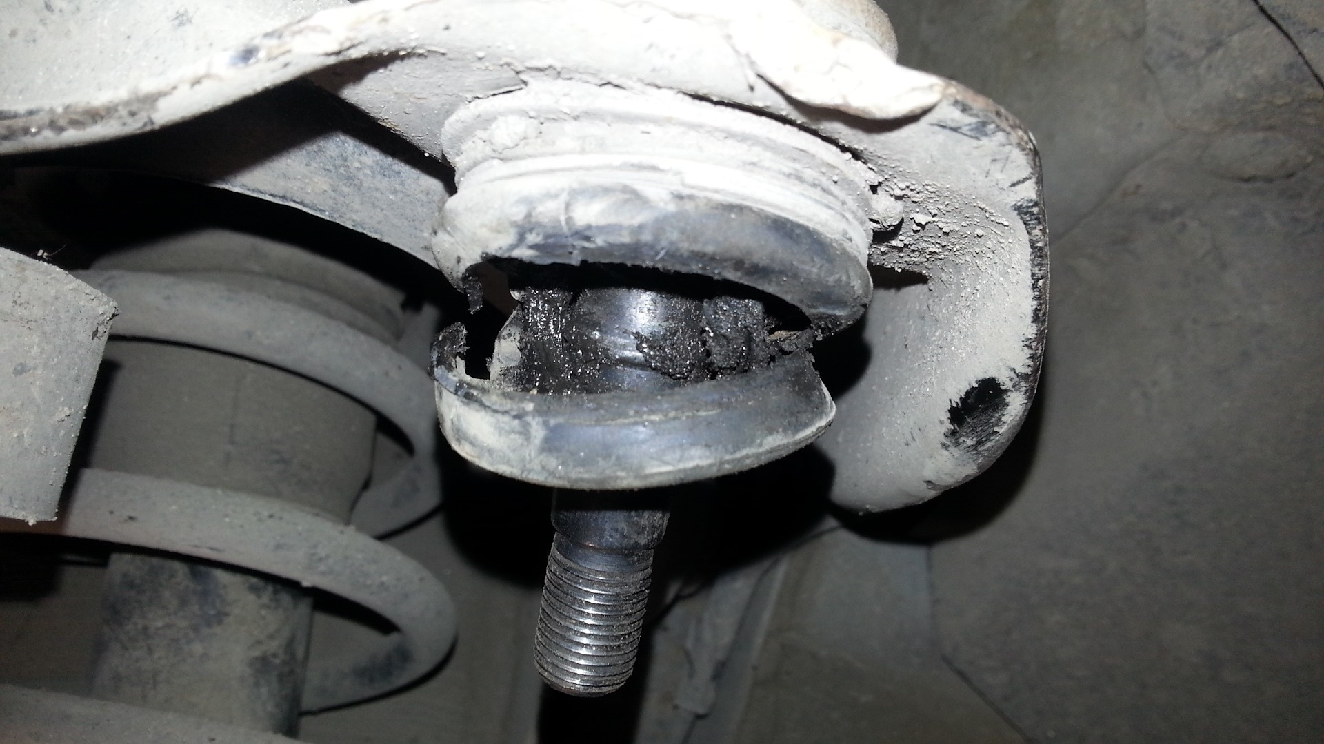 порваный пыльник